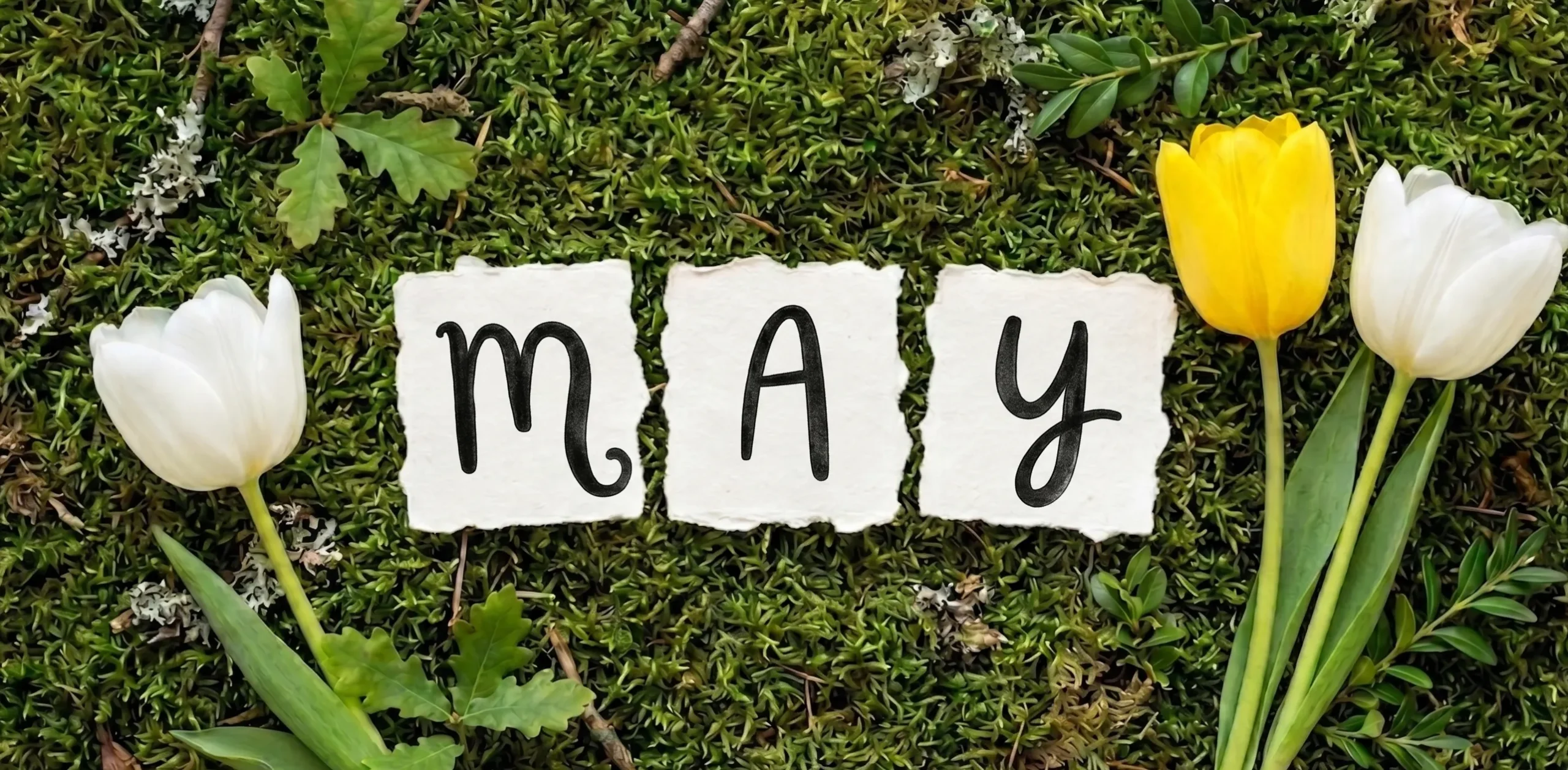 May Flowers & Fresh Starts: A Guide to Spring Fluency